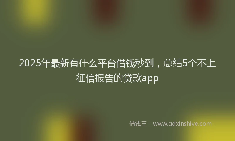 2025年最新有什么平台借钱秒到，总结5个不上征信报告的贷款app