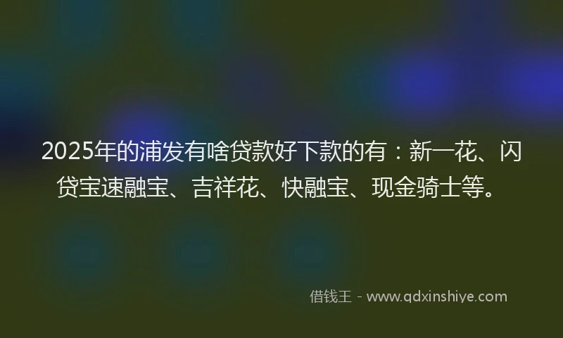 2025年的浦发有啥贷款好下款的有：新一花、闪贷宝速融宝、吉祥花、快融宝、现金骑士等。
