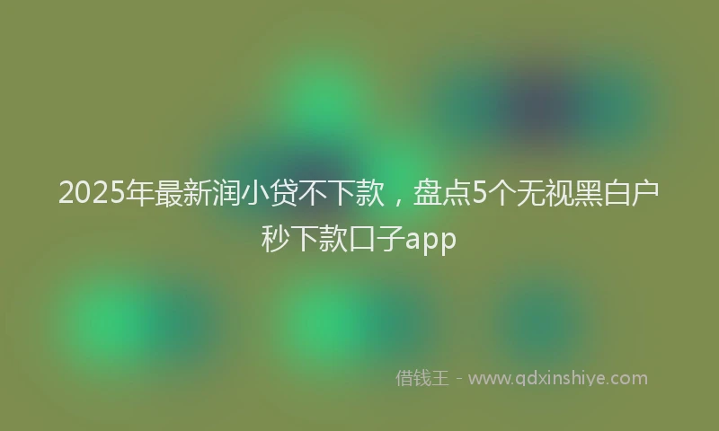 2025年最新润小贷不下款，盘点5个无视黑白户秒下款口子app