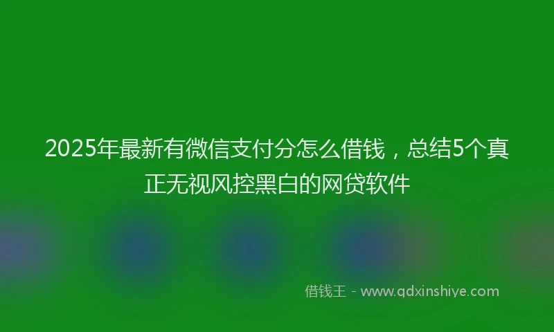 2025年最新有微信支付分怎么借钱，总结5个真正无视风控黑白的网贷软件