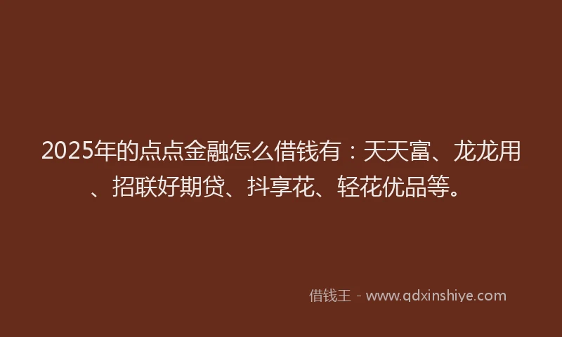 2025年的点点金融怎么借钱有：天天富、龙龙用、招联好期贷、抖享花、轻花优品等。