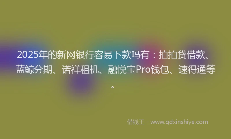 2025年的新网银行容易下款吗有：拍拍贷借款、蓝鲸分期、诺祥租机、融悦宝Pro钱包、速得通等。