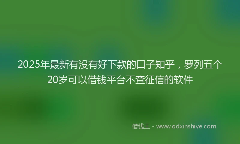 2025年最新有没有好下款的口子知乎，罗列五个20岁可以借钱平台不查征信的软件
