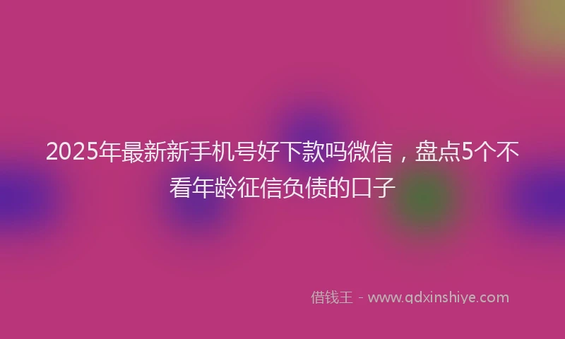 2025年最新新手机号好下款吗微信，盘点5个不看年龄征信负债的口子
