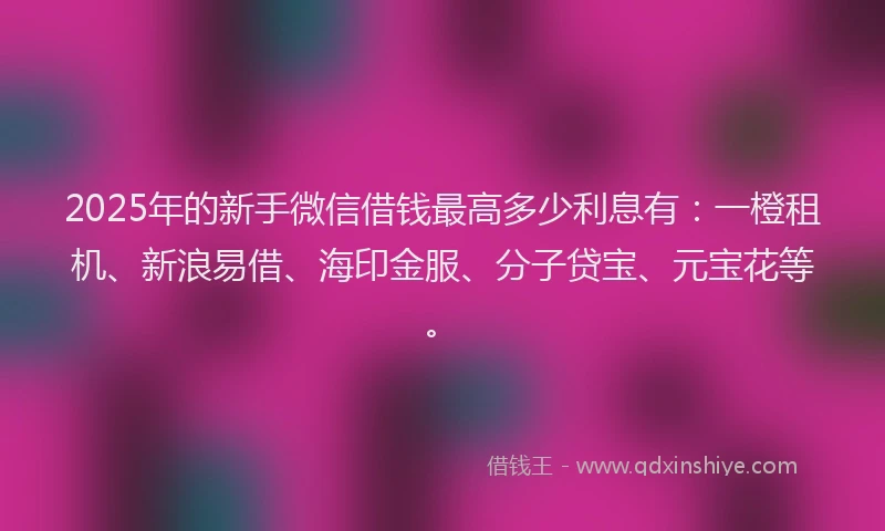 2025年的新手微信借钱最高多少利息有：一橙租机、新浪易借、海印金服、分子贷宝、元宝花等。