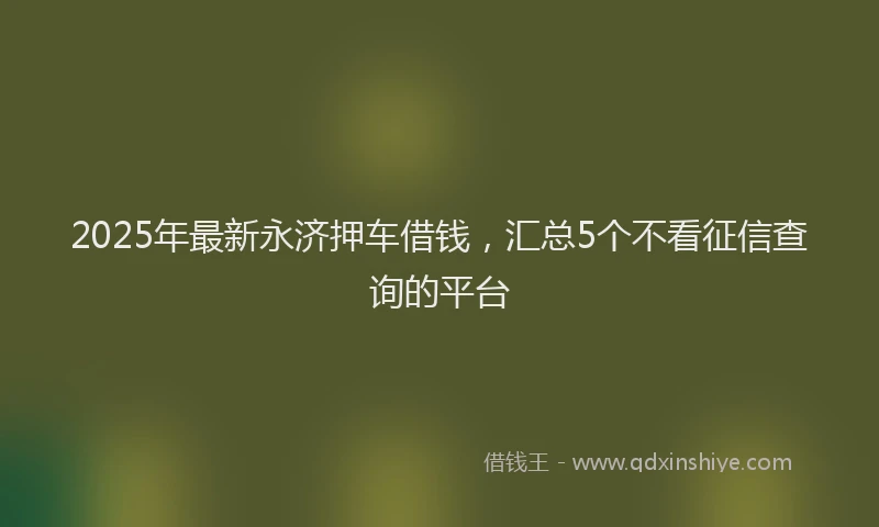 2025年最新永济押车借钱，汇总5个不看征信查询的平台