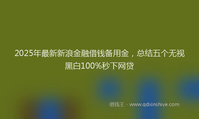 2025年最新新浪金融借钱备用金，总结五个无视黑白100%秒下网贷