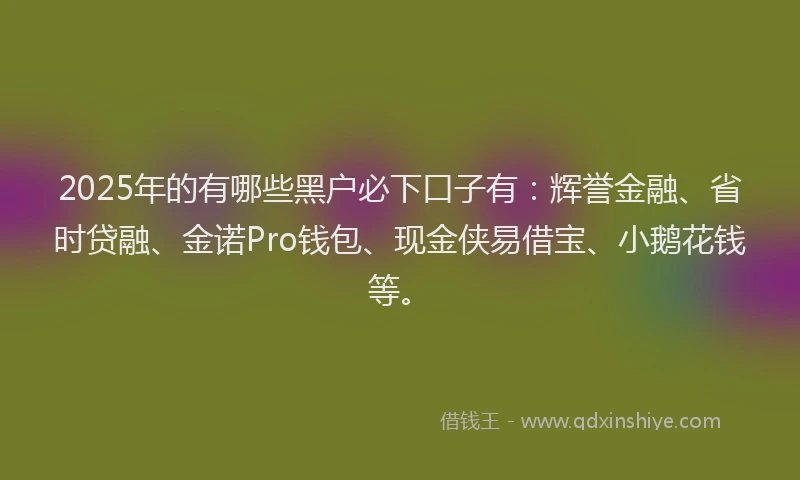 2025年的有哪些黑户必下口子有：辉誉金融、省时贷融、金诺Pro钱包、现金侠易借宝、小鹅花钱等。