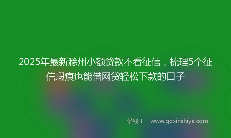 2025年最新滁州小额贷款不看征信，梳理5个征信瑕疵也能借网贷轻松下款的口子