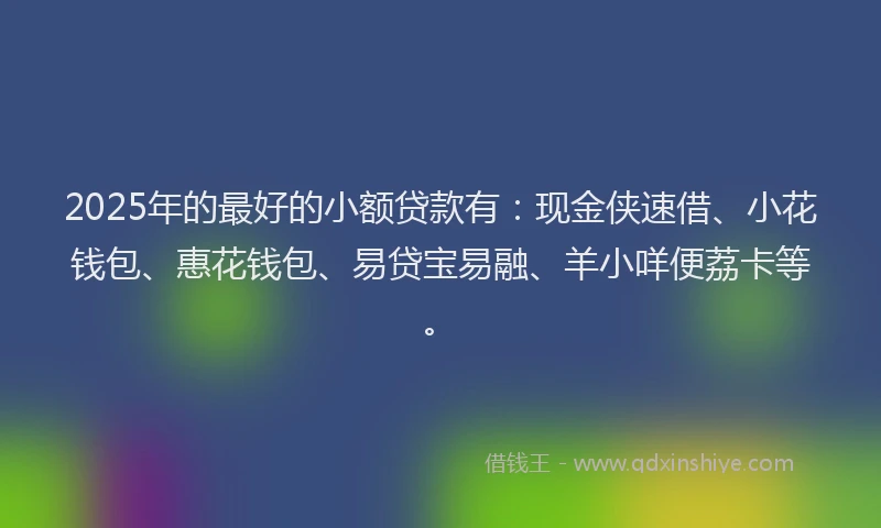 2025年的最好的小额贷款有：现金侠速借、小花钱包、惠花钱包、易贷宝易融、羊小咩便荔卡等。