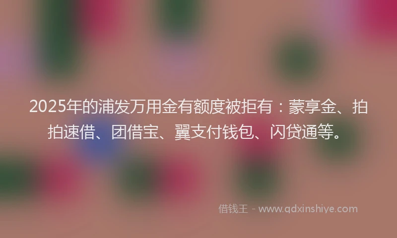 2025年的浦发万用金有额度被拒有：蒙享金、拍拍速借、团借宝、翼支付钱包、闪贷通等。