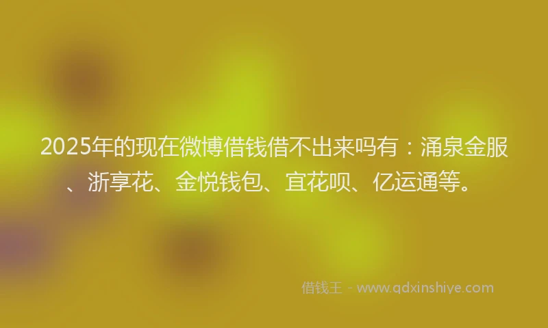 2025年的现在微博借钱借不出来吗有：涌泉金服、浙享花、金悦钱包、宜花呗、亿运通等。