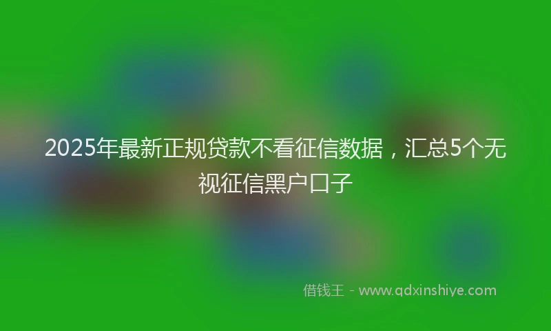 2025年最新正规贷款不看征信数据，汇总5个无视征信黑户口子
