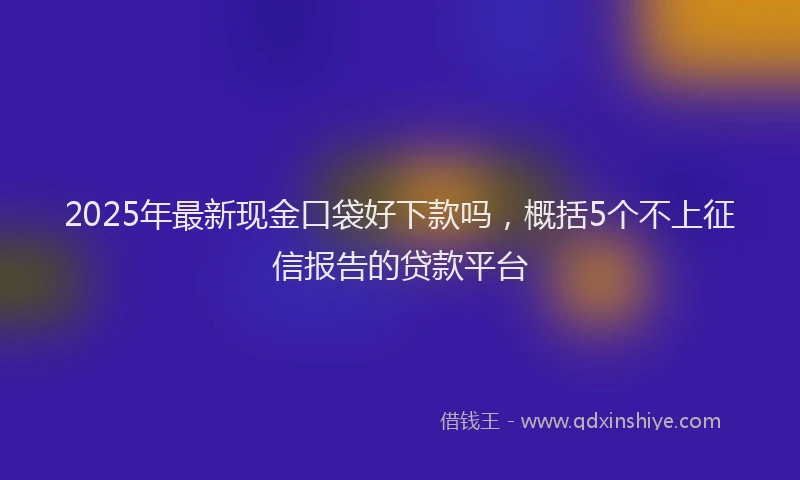 2025年最新现金口袋好下款吗，概括5个不上征信报告的贷款平台