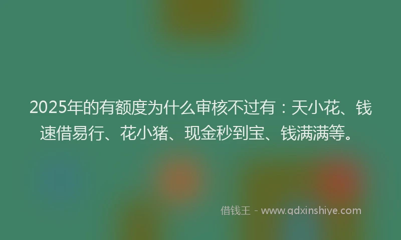 2025年的有额度为什么审核不过有：天小花、钱速借易行、花小猪、现金秒到宝、钱满满等。