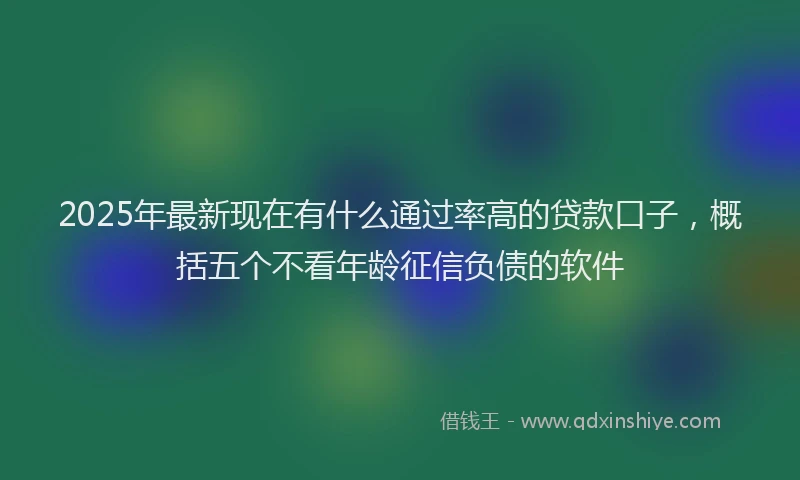 2025年最新现在有什么通过率高的贷款口子，概括五个不看年龄征信负债的软件