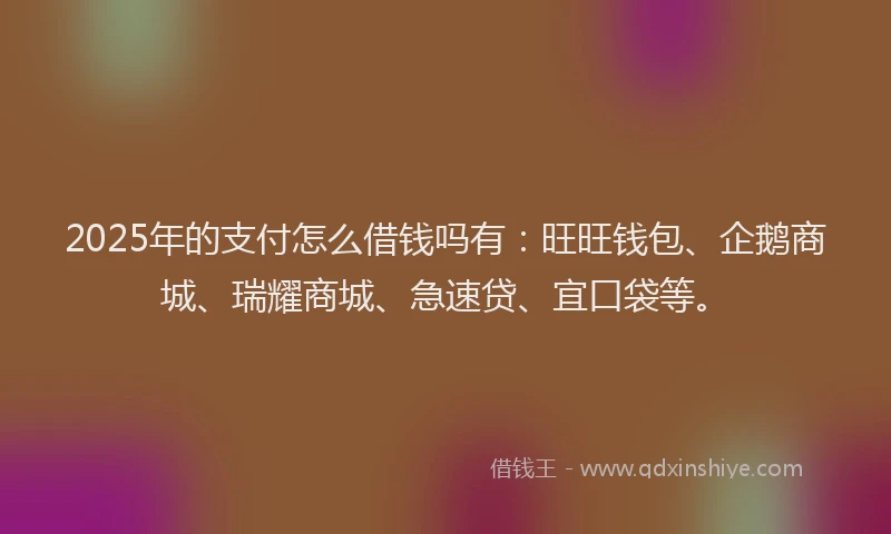 2025年的支付怎么借钱吗有：旺旺钱包、企鹅商城、瑞耀商城、急速贷、宜口袋等。