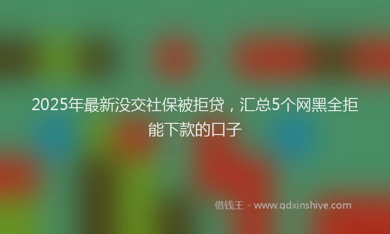 2025年最新没交社保被拒贷，汇总5个网黑全拒能下款的口子