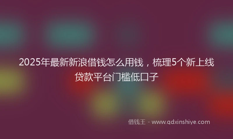 2025年最新新浪借钱怎么用钱，梳理5个新上线贷款平台门槛低口子