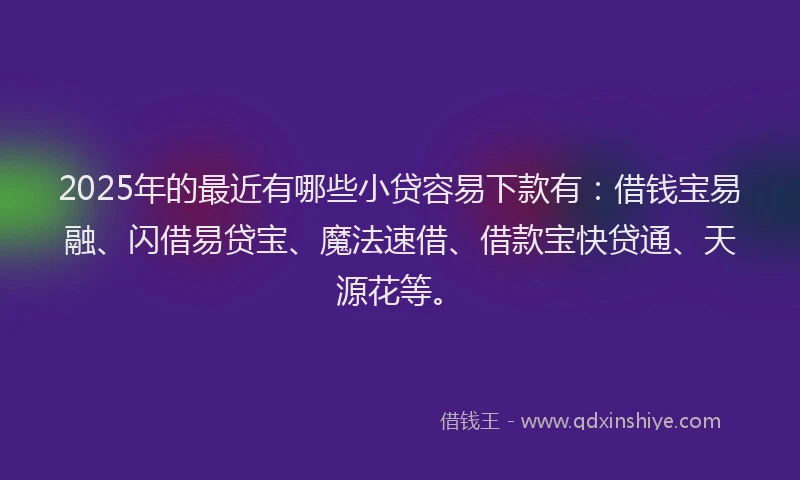 2025年的最近有哪些小贷容易下款有：借钱宝易融、闪借易贷宝、魔法速借、借款宝快贷通、天源花等。