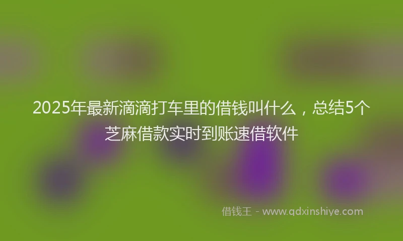 2025年最新滴滴打车里的借钱叫什么，总结5个芝麻借款实时到账速借软件