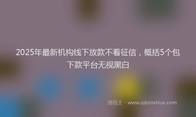 2025年最新机构线下放款不看征信，概括5个包下款平台无视黑白
