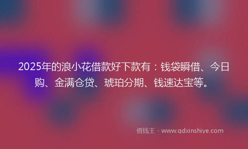 2025年的浪小花借款好下款有：钱袋瞬借、今日购、金满仓贷、琥珀分期、钱速达宝等。