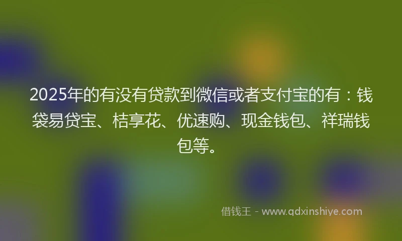 2025年的有没有贷款到微信或者支付宝的有：钱袋易贷宝、桔享花、优速购、现金钱包、祥瑞钱包等。