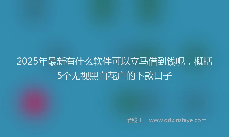 2025年最新有什么软件可以立马借到钱呢，概括5个无视黑白花户的下款口子