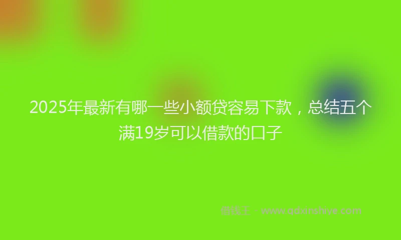 2025年最新有哪一些小额贷容易下款，总结五个满19岁可以借款的口子