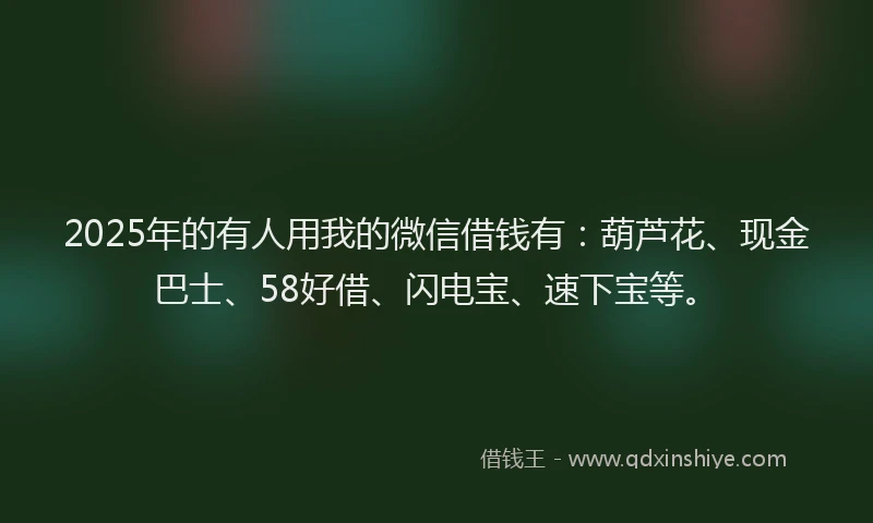 2025年的有人用我的微信借钱有：葫芦花、现金巴士、58好借、闪电宝、速下宝等。