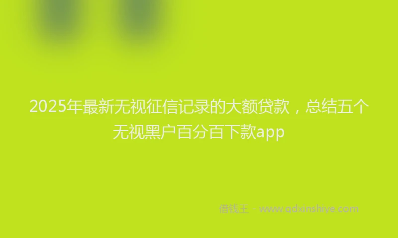 2025年最新无视征信记录的大额贷款，总结五个无视黑户百分百下款app