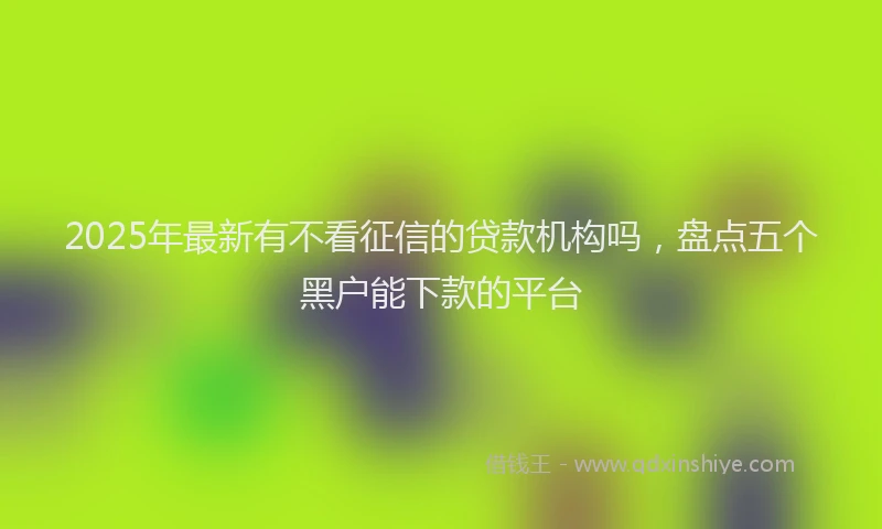 2025年最新有不看征信的贷款机构吗，盘点五个黑户能下款的平台