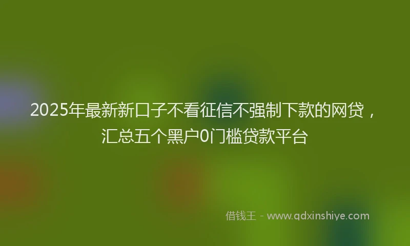 2025年最新新口子不看征信不强制下款的网贷，汇总五个黑户0门槛贷款平台