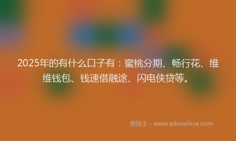 2025年的有什么口子有：蜜桃分期、畅行花、维维钱包、钱速借融途、闪电侠贷等。