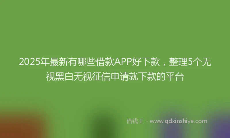 2025年最新有哪些借款APP好下款，整理5个无视黑白无视征信申请就下款的平台