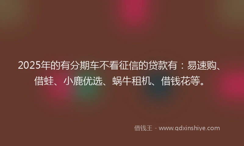 2025年的有分期车不看征信的贷款有：易速购、借蛙、小鹿优选、蜗牛租机、借钱花等。
