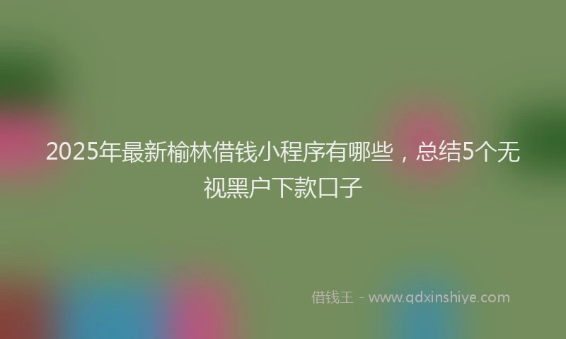 2025年最新榆林借钱小程序有哪些，总结5个无视黑户下款口子