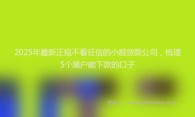 2025年最新正规不看征信的小额贷款公司，梳理5个黑户能下款的口子
