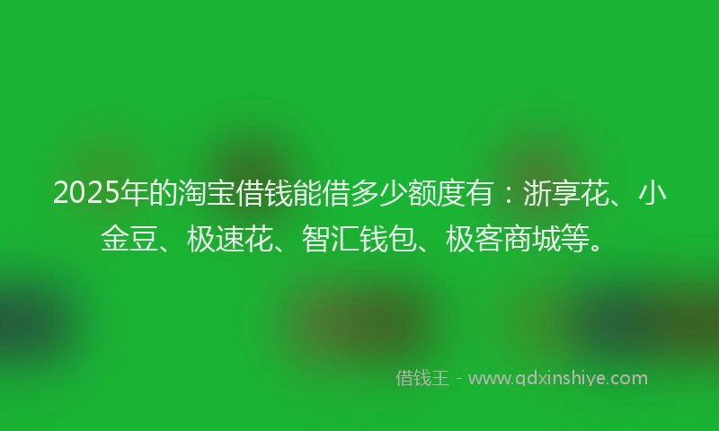 2025年的淘宝借钱能借多少额度有：浙享花、小金豆、极速花、智汇钱包、极客商城等。