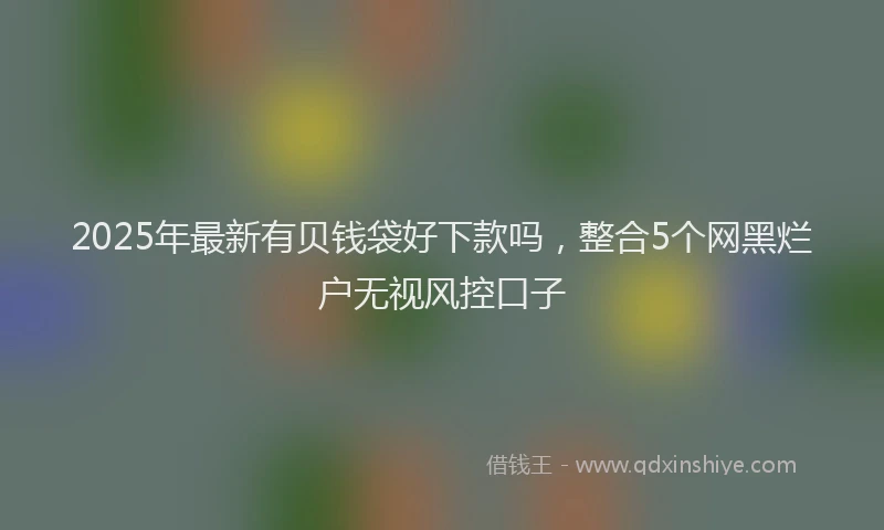 2025年最新有贝钱袋好下款吗，整合5个网黑烂户无视风控口子
