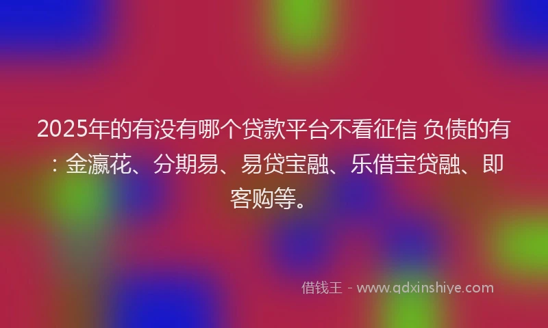 2025年的有没有哪个贷款平台不看征信 负债的有：金瀛花、分期易、易贷宝融、乐借宝贷融、即客购等。