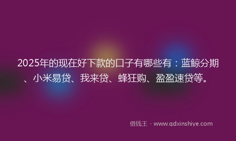 2025年的现在好下款的口子有哪些有：蓝鲸分期、小米易贷、我来贷、蜂狂购、盈盈速贷等。