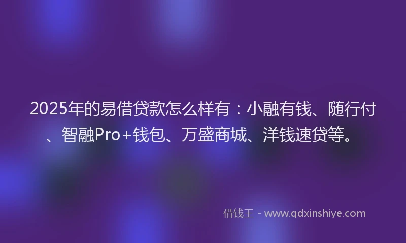 2025年的易借贷款怎么样有：小融有钱、随行付、智融Pro+钱包、万盛商城、洋钱速贷等。