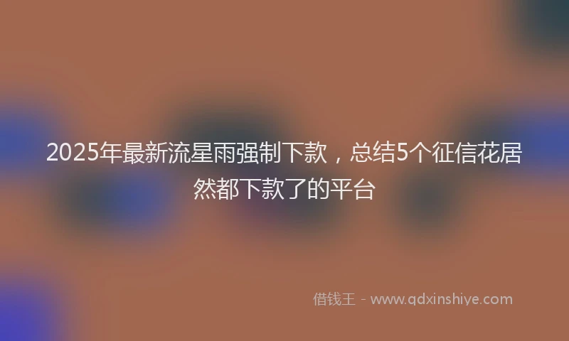 2025年最新流星雨强制下款，总结5个征信花居然都下款了的平台