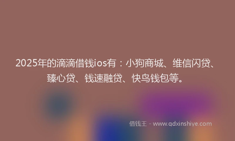 2025年的滴滴借钱ios有:小狗商城、维信闪贷、臻心贷、钱速融贷、快鸟钱包等。