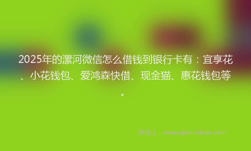 2025年的漯河微信怎么借钱到银行卡有：宜享花、小花钱包、爱鸿森快借、现金猫、惠花钱包等。