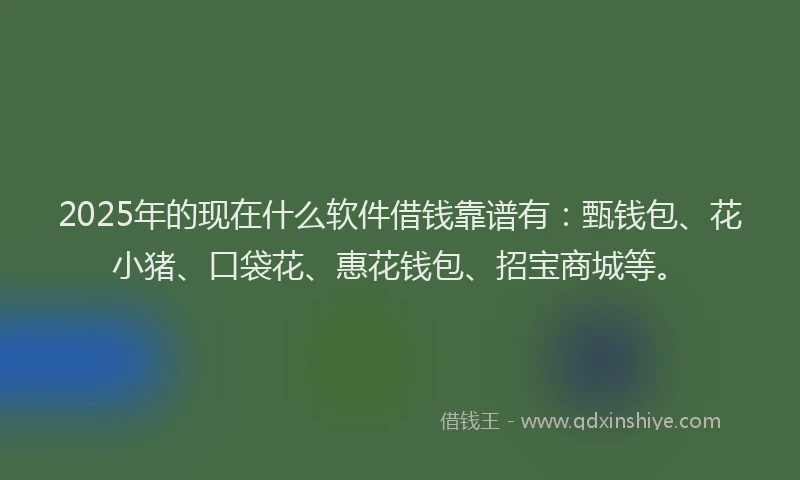 2025年的现在什么软件借钱靠谱有：甄钱包、花小猪、口袋花、惠花钱包、招宝商城等。