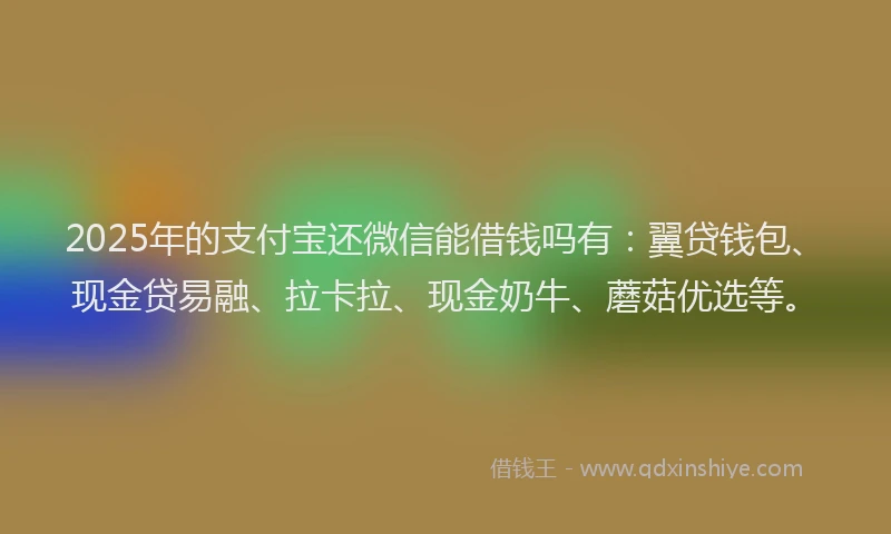 2025年的支付宝还微信能借钱吗有：翼贷钱包、现金贷易融、拉卡拉、现金奶牛、蘑菇优选等。