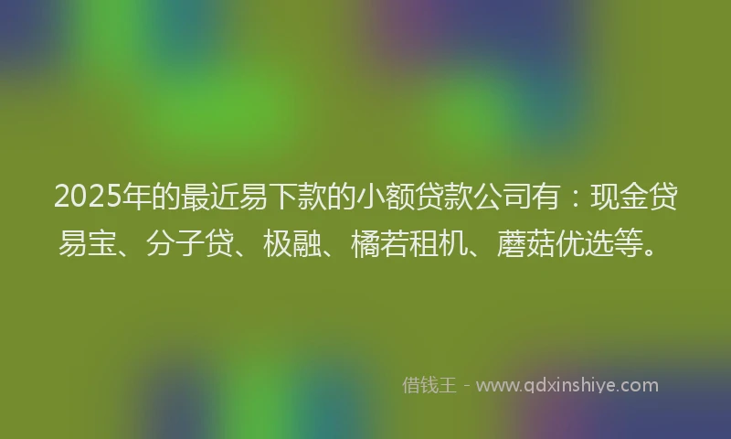 2025年的最近易下款的小额贷款公司有：现金贷易宝、分子贷、极融、橘若租机、蘑菇优选等。